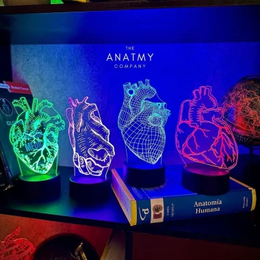 LED LAMPS CARDIOLOGÍA