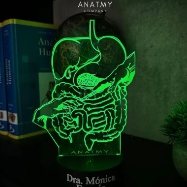 LED LAMPS CIRUGÍA/GASTRO/ENDOSCOPIA