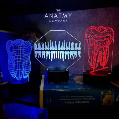 LED LAMPS ODONTOLOGÍA