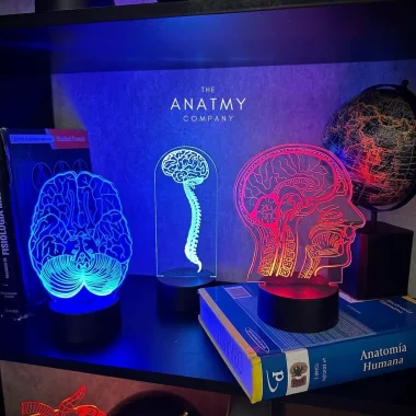 LED LAMPS NEURO